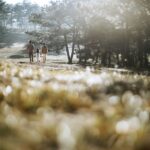 Grafico delle migliori assicurazioni vita del 2026 con valutazioni e caratteristiche principali.